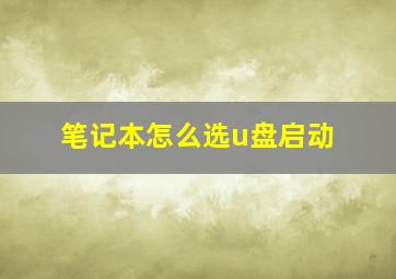 笔记本怎么选u盘启动