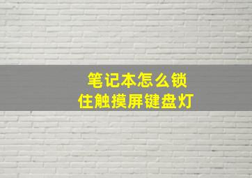 笔记本怎么锁住触摸屏键盘灯