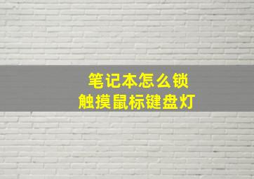 笔记本怎么锁触摸鼠标键盘灯