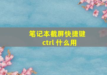 笔记本截屏快捷键ctrl 什么用