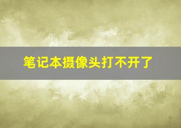 笔记本摄像头打不开了