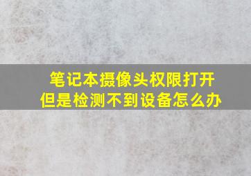 笔记本摄像头权限打开但是检测不到设备怎么办