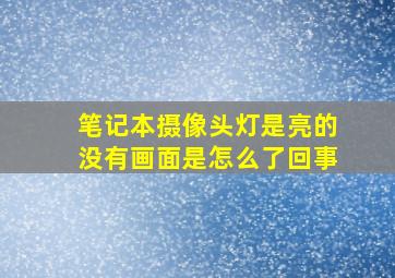 笔记本摄像头灯是亮的没有画面是怎么了回事