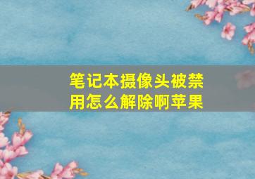 笔记本摄像头被禁用怎么解除啊苹果