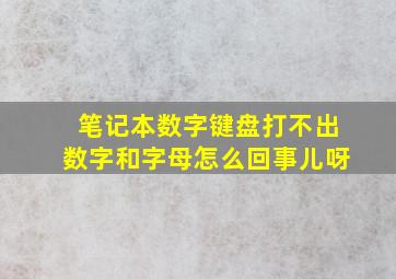 笔记本数字键盘打不出数字和字母怎么回事儿呀