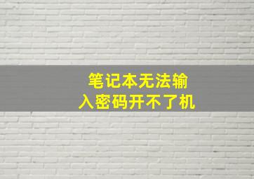 笔记本无法输入密码开不了机