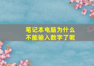 笔记本电脑为什么不能输入数字了呢