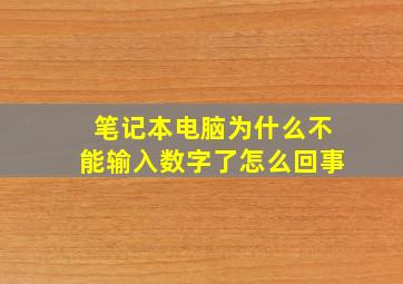 笔记本电脑为什么不能输入数字了怎么回事