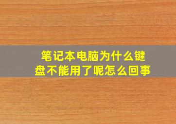 笔记本电脑为什么键盘不能用了呢怎么回事