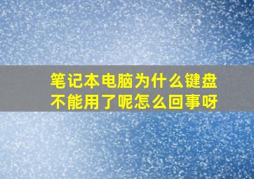 笔记本电脑为什么键盘不能用了呢怎么回事呀