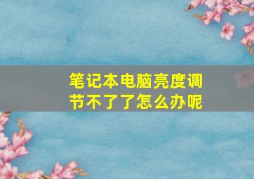 笔记本电脑亮度调节不了了怎么办呢