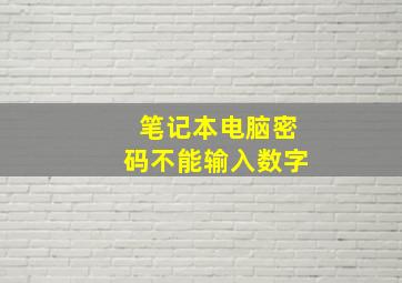 笔记本电脑密码不能输入数字