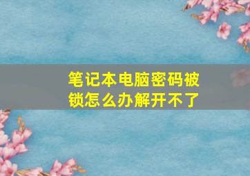 笔记本电脑密码被锁怎么办解开不了