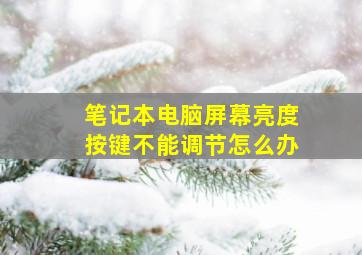 笔记本电脑屏幕亮度按键不能调节怎么办