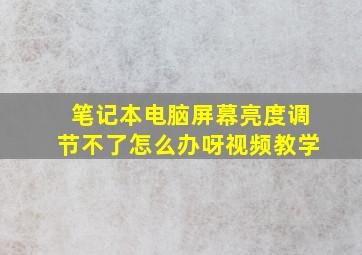 笔记本电脑屏幕亮度调节不了怎么办呀视频教学