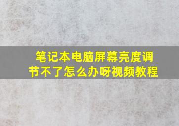 笔记本电脑屏幕亮度调节不了怎么办呀视频教程