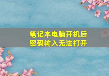 笔记本电脑开机后密码输入无法打开