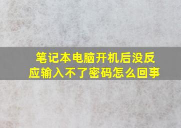 笔记本电脑开机后没反应输入不了密码怎么回事