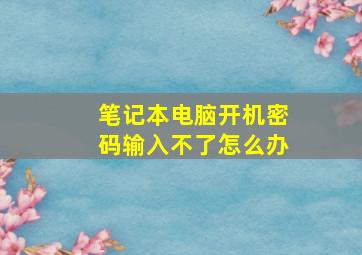 笔记本电脑开机密码输入不了怎么办