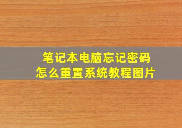 笔记本电脑忘记密码怎么重置系统教程图片