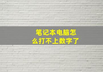 笔记本电脑怎么打不上数字了