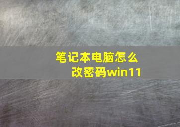 笔记本电脑怎么改密码win11