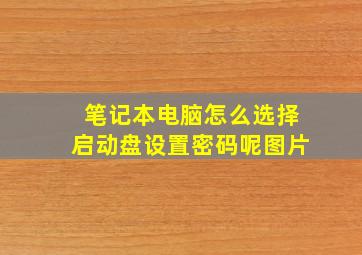 笔记本电脑怎么选择启动盘设置密码呢图片