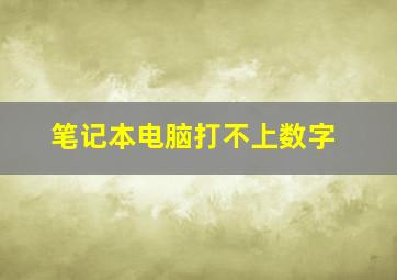 笔记本电脑打不上数字