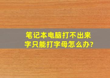 笔记本电脑打不出来字只能打字母怎么办?