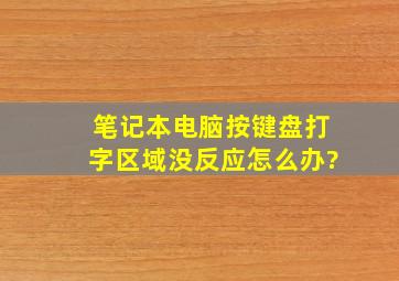 笔记本电脑按键盘打字区域没反应怎么办?