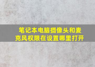 笔记本电脑摄像头和麦克风权限在设置哪里打开