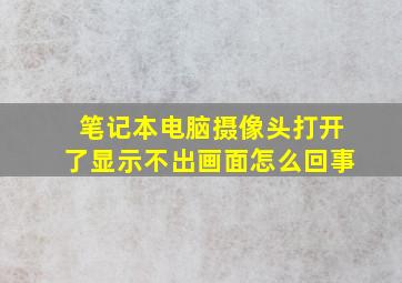 笔记本电脑摄像头打开了显示不出画面怎么回事