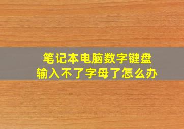 笔记本电脑数字键盘输入不了字母了怎么办