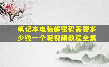 笔记本电脑解密码需要多少钱一个呢视频教程全集