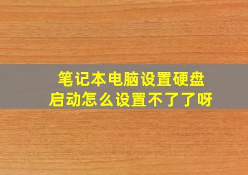 笔记本电脑设置硬盘启动怎么设置不了了呀