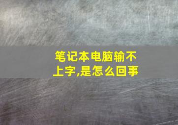 笔记本电脑输不上字,是怎么回事