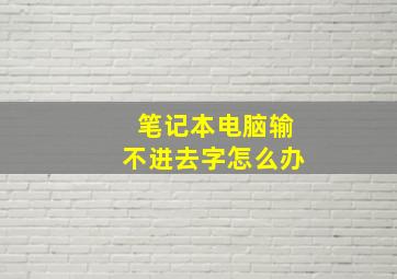 笔记本电脑输不进去字怎么办