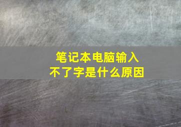 笔记本电脑输入不了字是什么原因