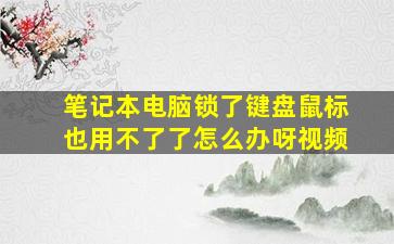 笔记本电脑锁了键盘鼠标也用不了了怎么办呀视频