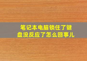 笔记本电脑锁住了键盘没反应了怎么回事儿