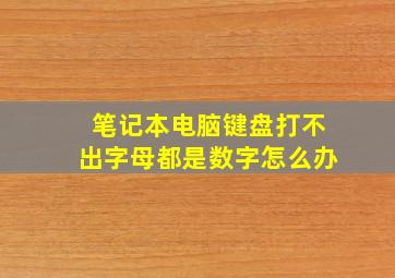 笔记本电脑键盘打不出字母都是数字怎么办