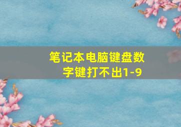 笔记本电脑键盘数字键打不出1-9