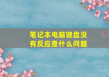 笔记本电脑键盘没有反应是什么问题