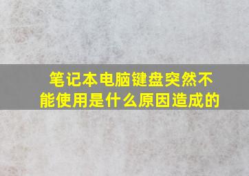 笔记本电脑键盘突然不能使用是什么原因造成的