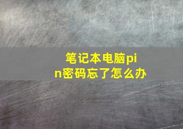 笔记本电脑pin密码忘了怎么办