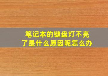 笔记本的键盘灯不亮了是什么原因呢怎么办