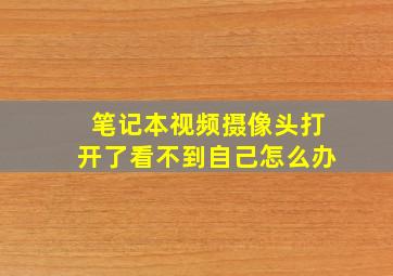 笔记本视频摄像头打开了看不到自己怎么办