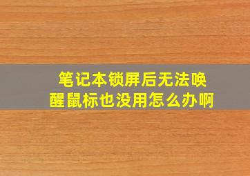 笔记本锁屏后无法唤醒鼠标也没用怎么办啊