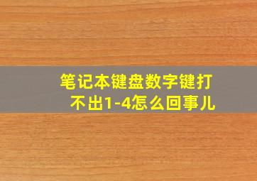 笔记本键盘数字键打不出1-4怎么回事儿