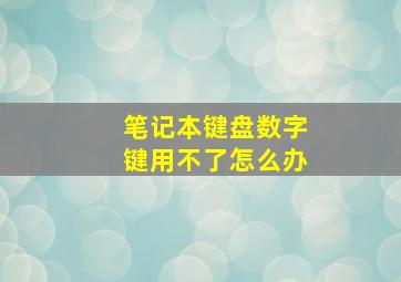 笔记本键盘数字键用不了怎么办